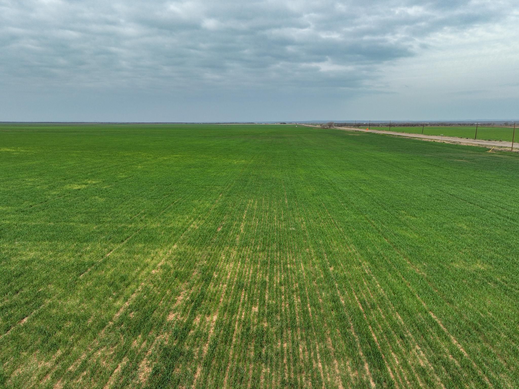 Knox City, Knox County, TX Farms and Ranches for sale Property ID