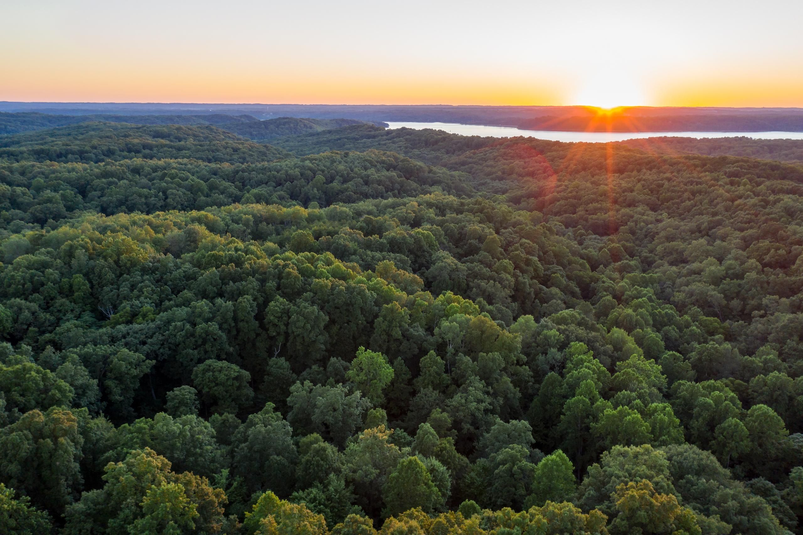 Bloomington, Monroe County, IN Recreational Property, Timberland