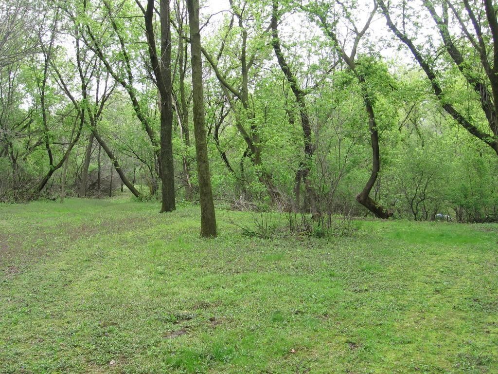 Austin, Mower County, MN Undeveloped Land for sale Property ID