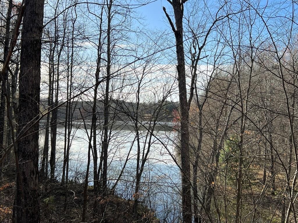 Cedar Grove, Carroll County, TN Lakefront Property, Waterfront Property