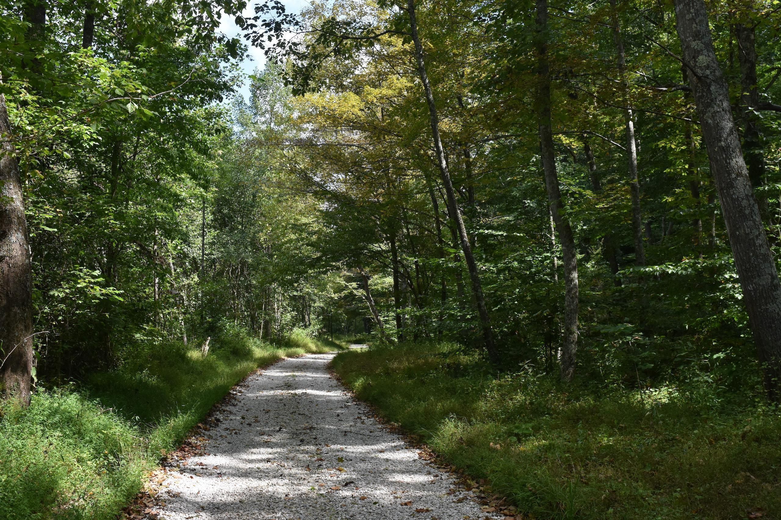 Grayson, Carter County, KY Recreational Property, Timberland Property