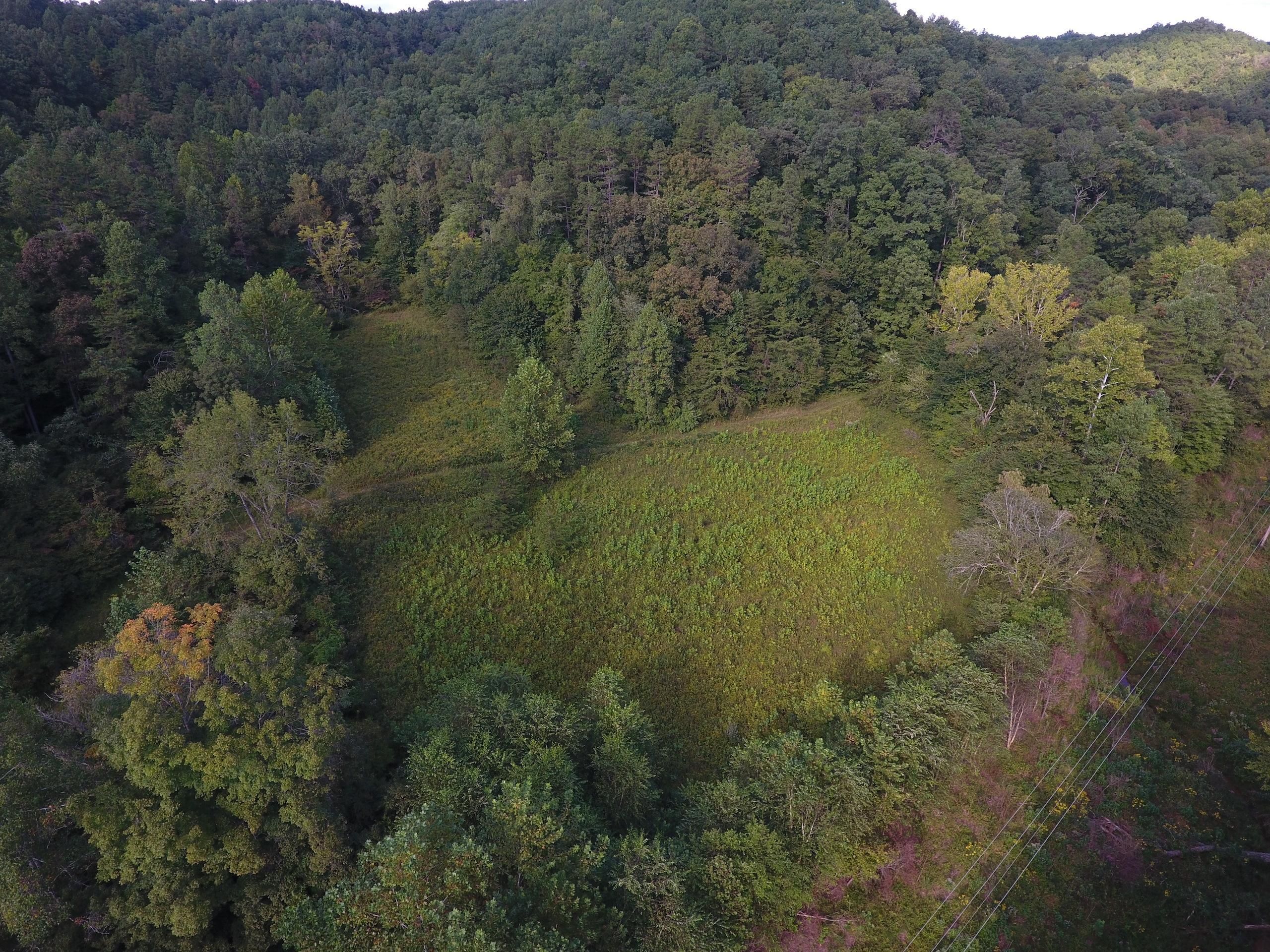 Grayson, Carter County, KY Recreational Property, Timberland Property