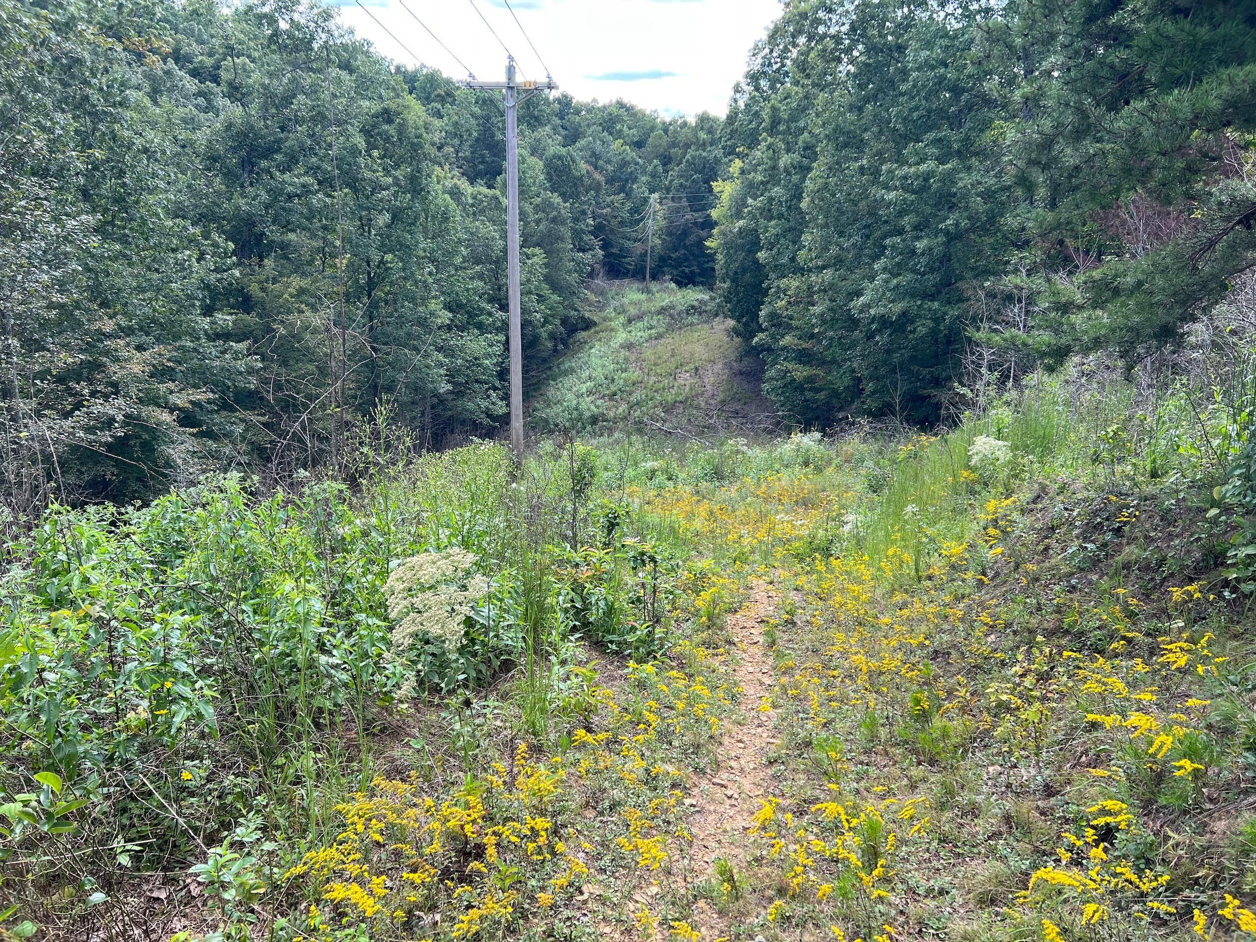 Grayson, Carter County, KY Recreational Property, Timberland Property