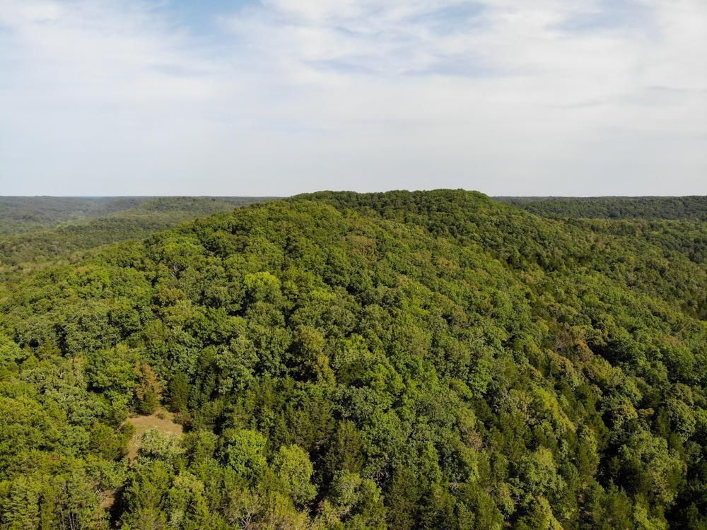 000 Deuvreaux Rd., Chadwick, MO 65629 MLS Christian 50 LandWatch