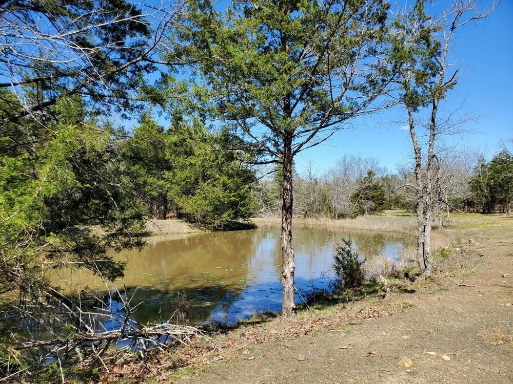 Rattan, Pushmataha County, OK Recreational Property, Undeveloped Land