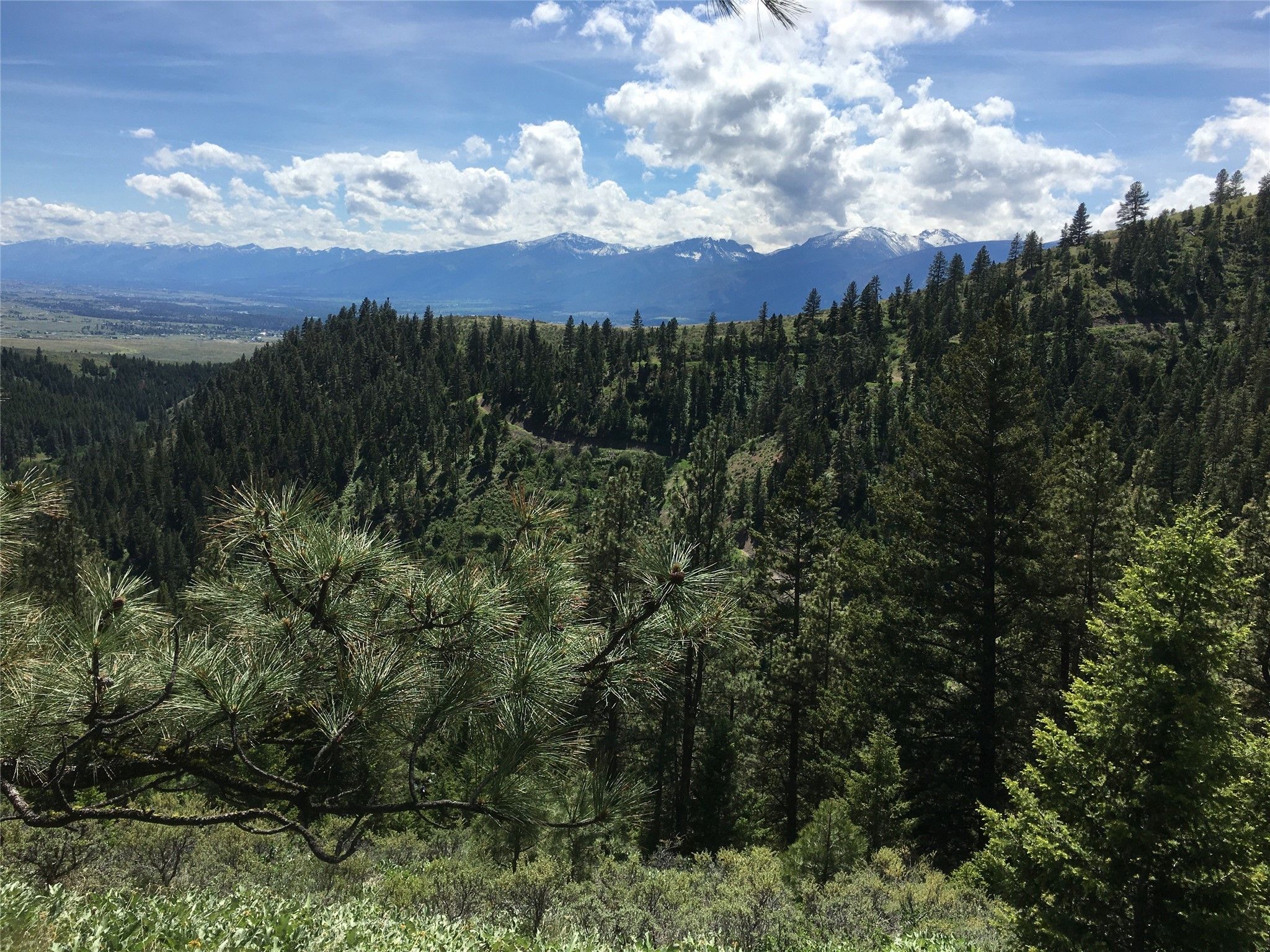 Florence, Missoula County, MT Farms and Ranches for sale Property ID