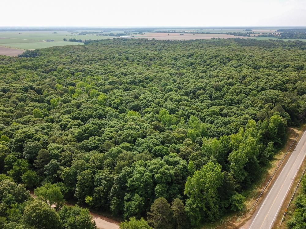 TBD Farm Hill Rd., Harrisburg, AR 72432 MLS Poinsett 31 LandWatch
