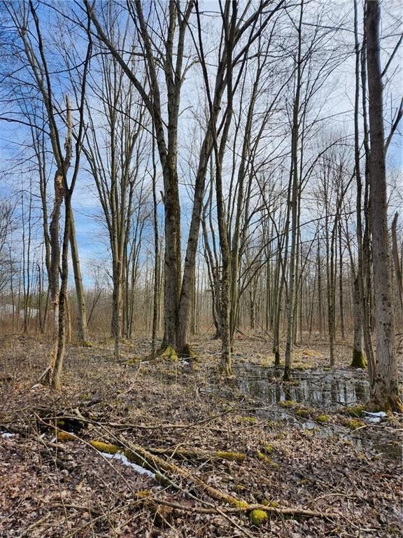 Huntsburg, Geauga County, OH Farms and Ranches for sale Property ID