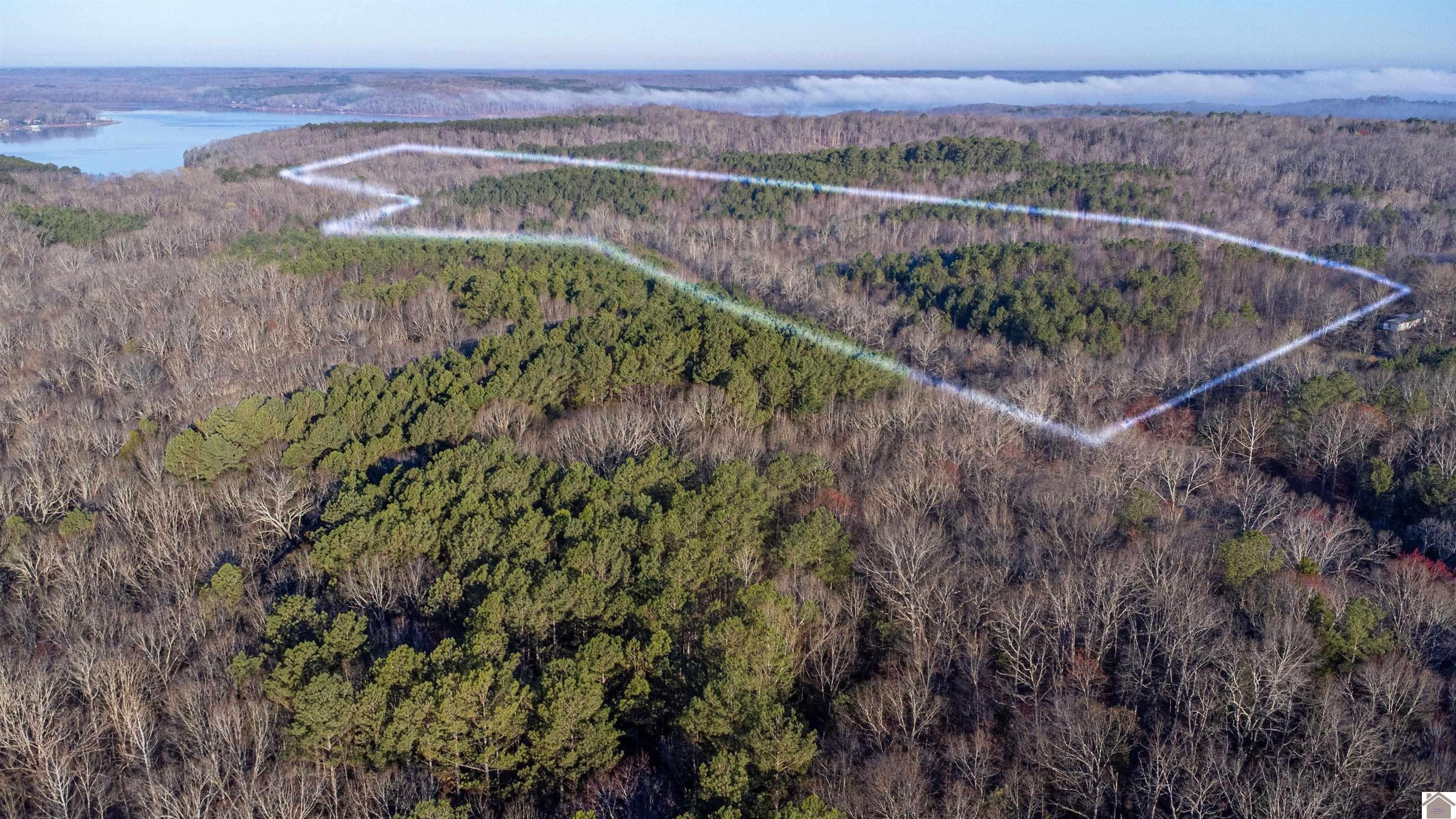 New Concord, Calloway County, KY Undeveloped Land for sale Property ID