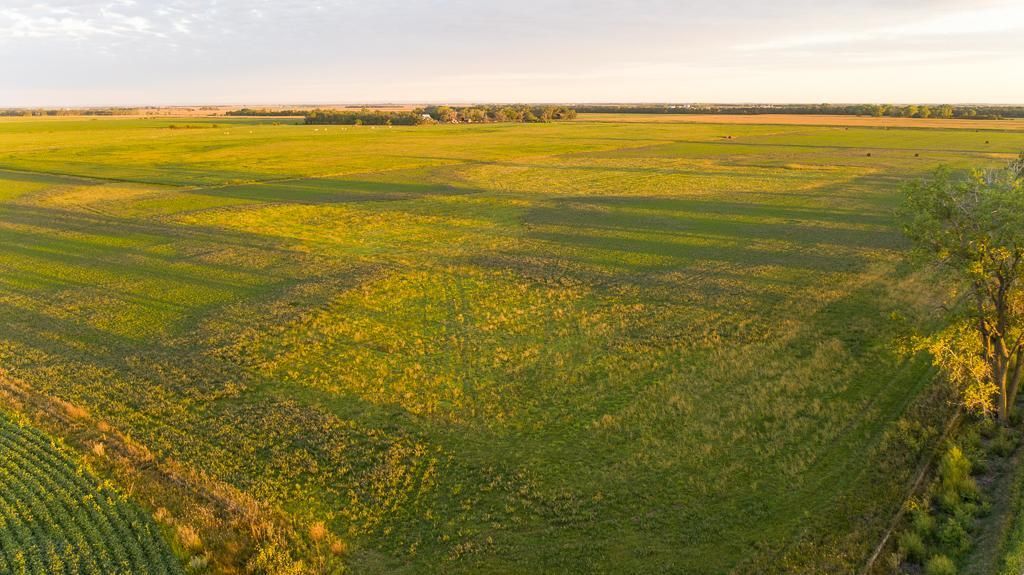 Mount Vernon, Davison County, SD Farms and Ranches, Undeveloped Land