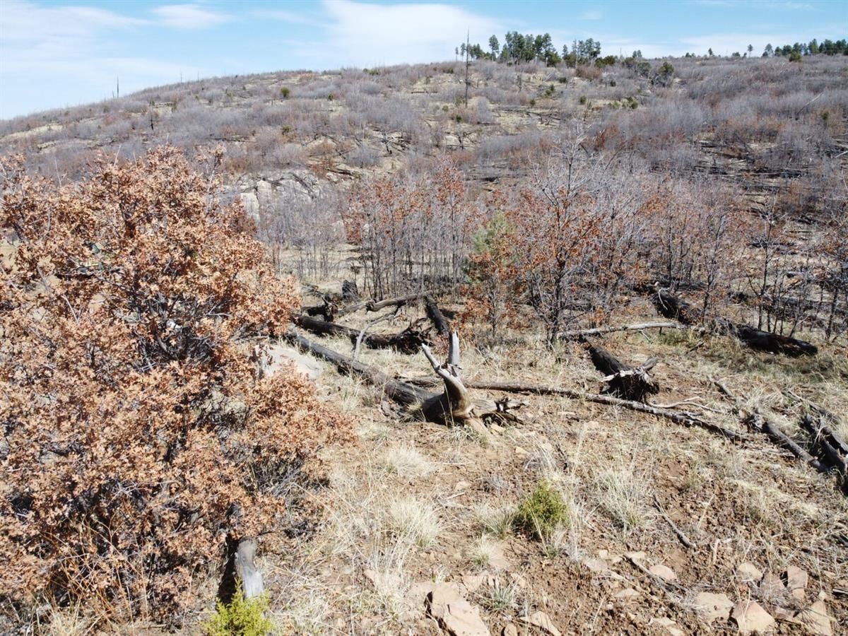 Estancia, Torrance County, NM Recreational Property, Homesites for sale