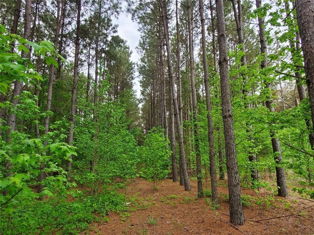 De Kalb, Bowie County, TX Undeveloped Land for sale Property ID 416117713 LandWatch