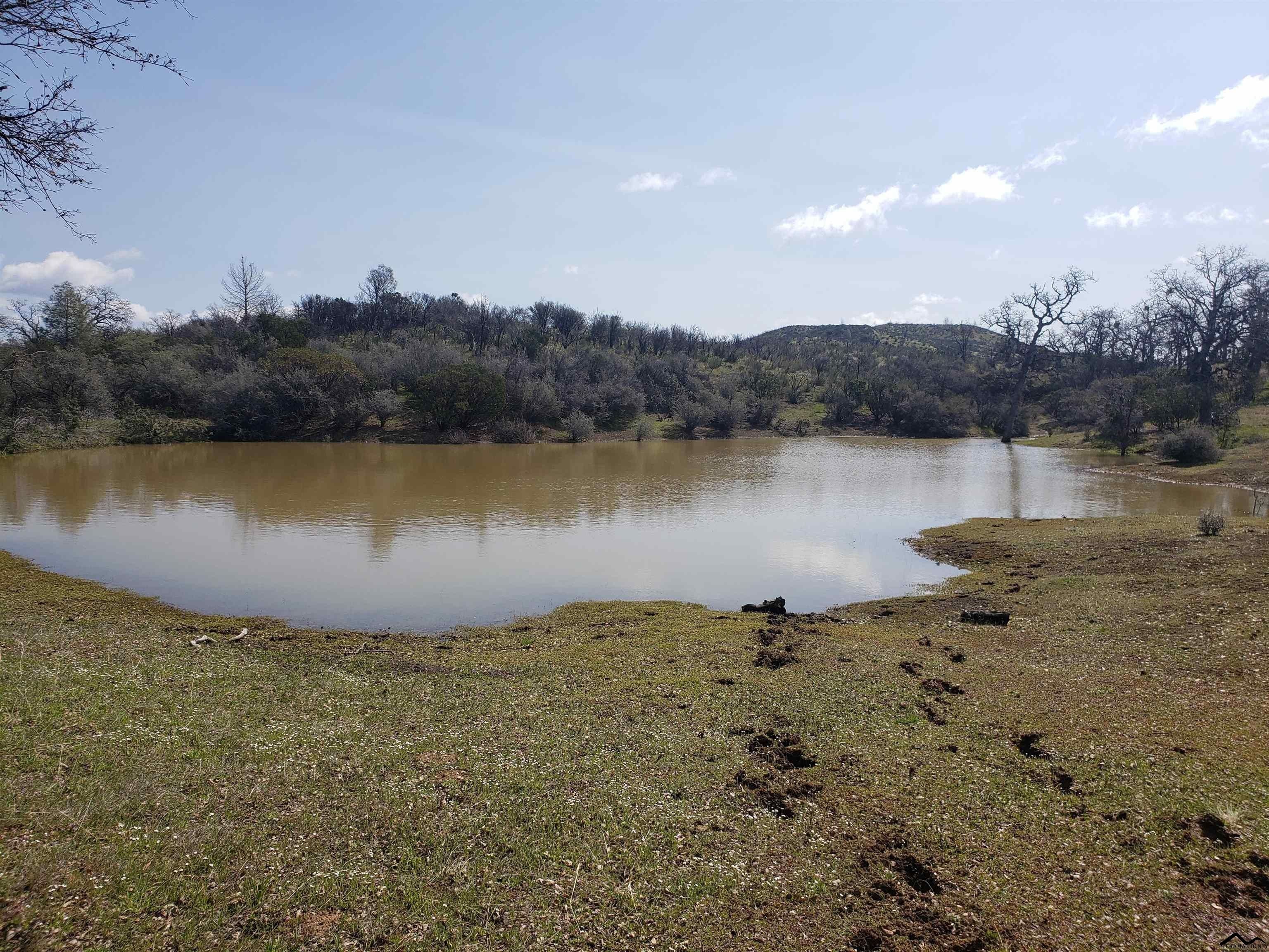 Red Bluff, Tehama County, CA Undeveloped Land for sale Property ID
