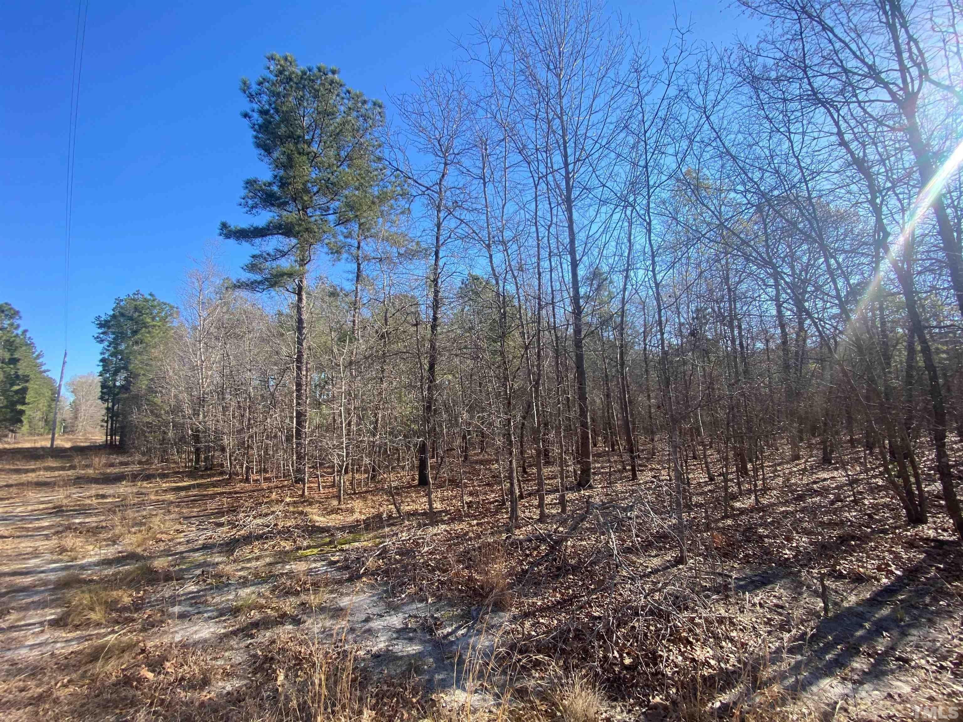 Raeford, Hoke County, NC Undeveloped Land for sale Property ID