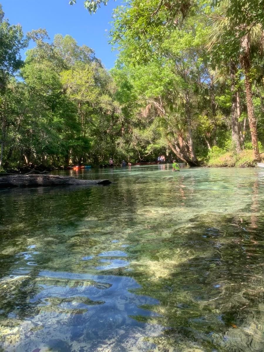 Homosassa, Citrus County, FL Farms and Ranches, Lakefront Property