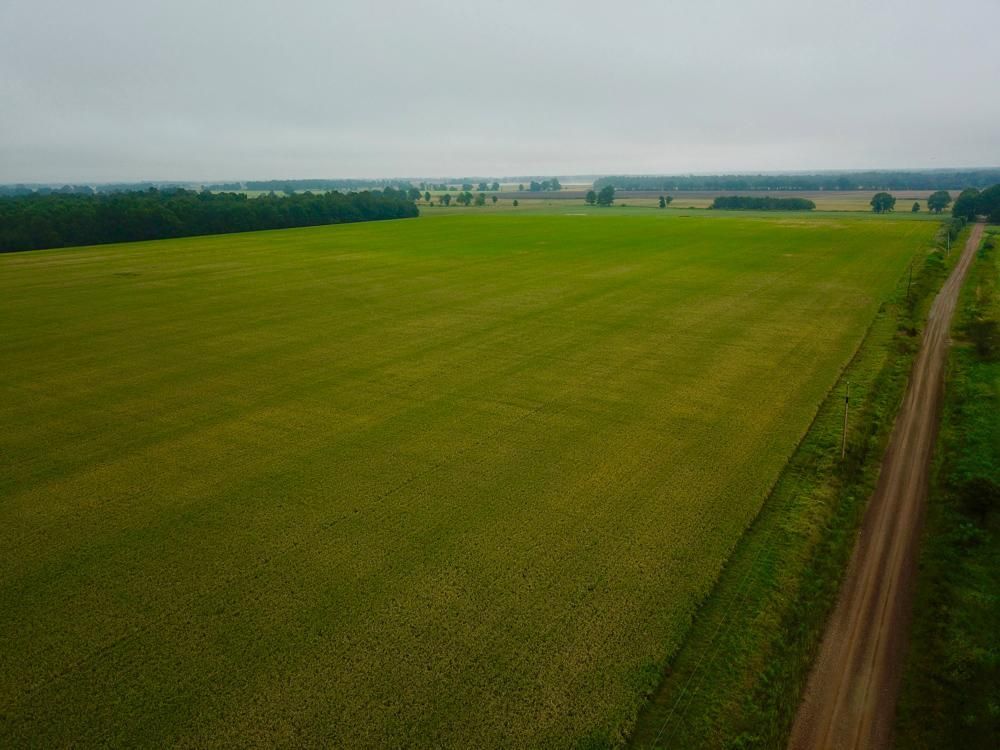 Reyno, Clay County, AR Farms and Ranches, Recreational Property