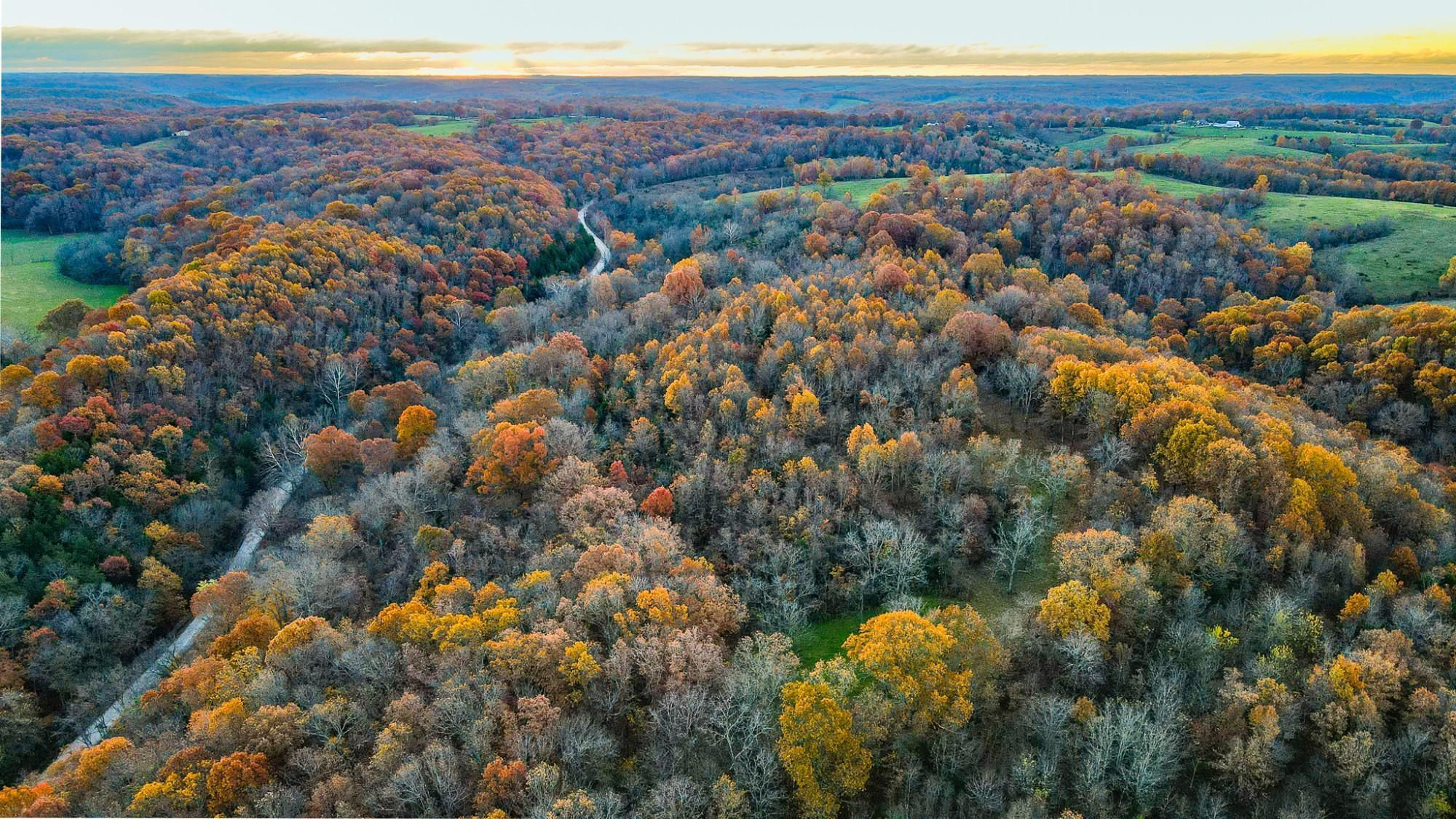 Hurley, Stone County, MO Farms and Ranches, Recreational Property