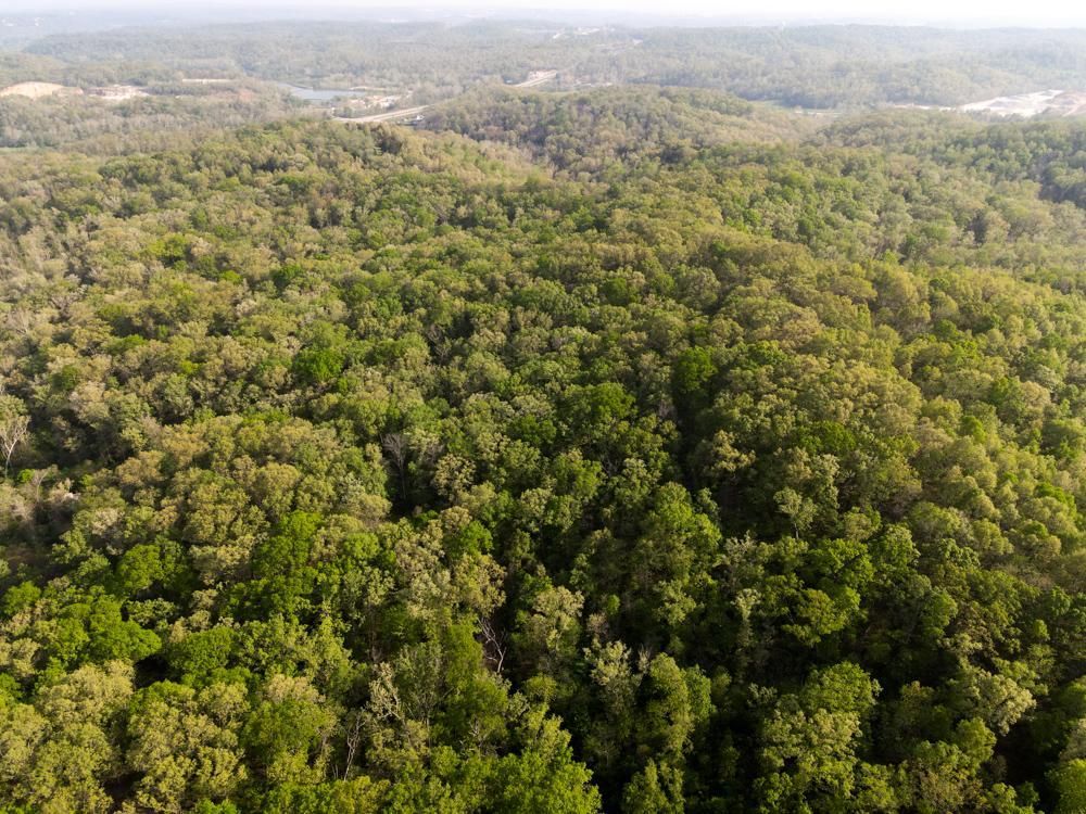Eldon, Miller County, MO Recreational Property, Timberland Property