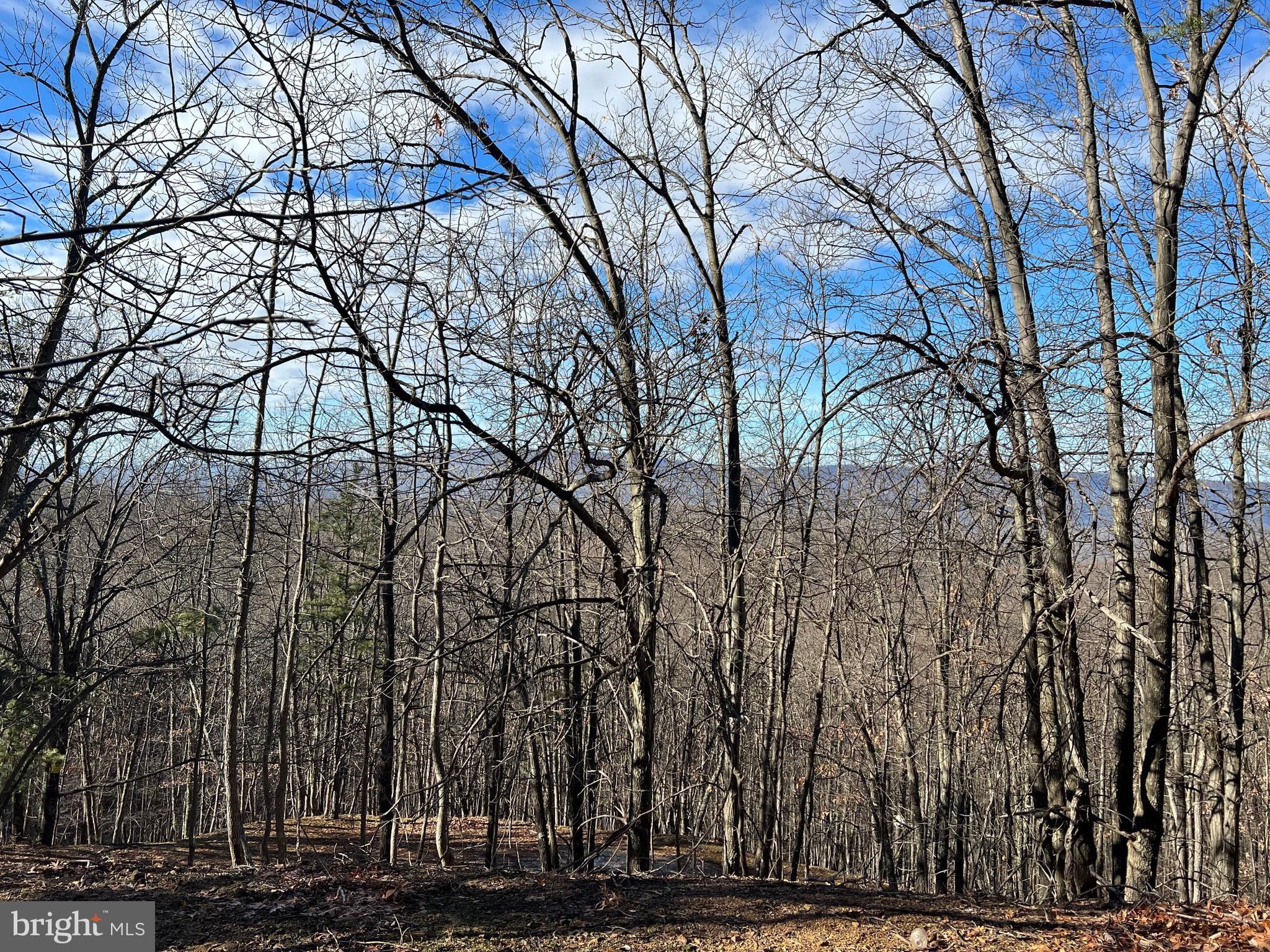 Great Cacapon, County, WV Undeveloped Land for sale Property ID 416119115 LandWatch