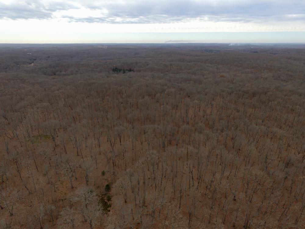 Collins, Saint Clair County, MO Recreational Property, Undeveloped Land
