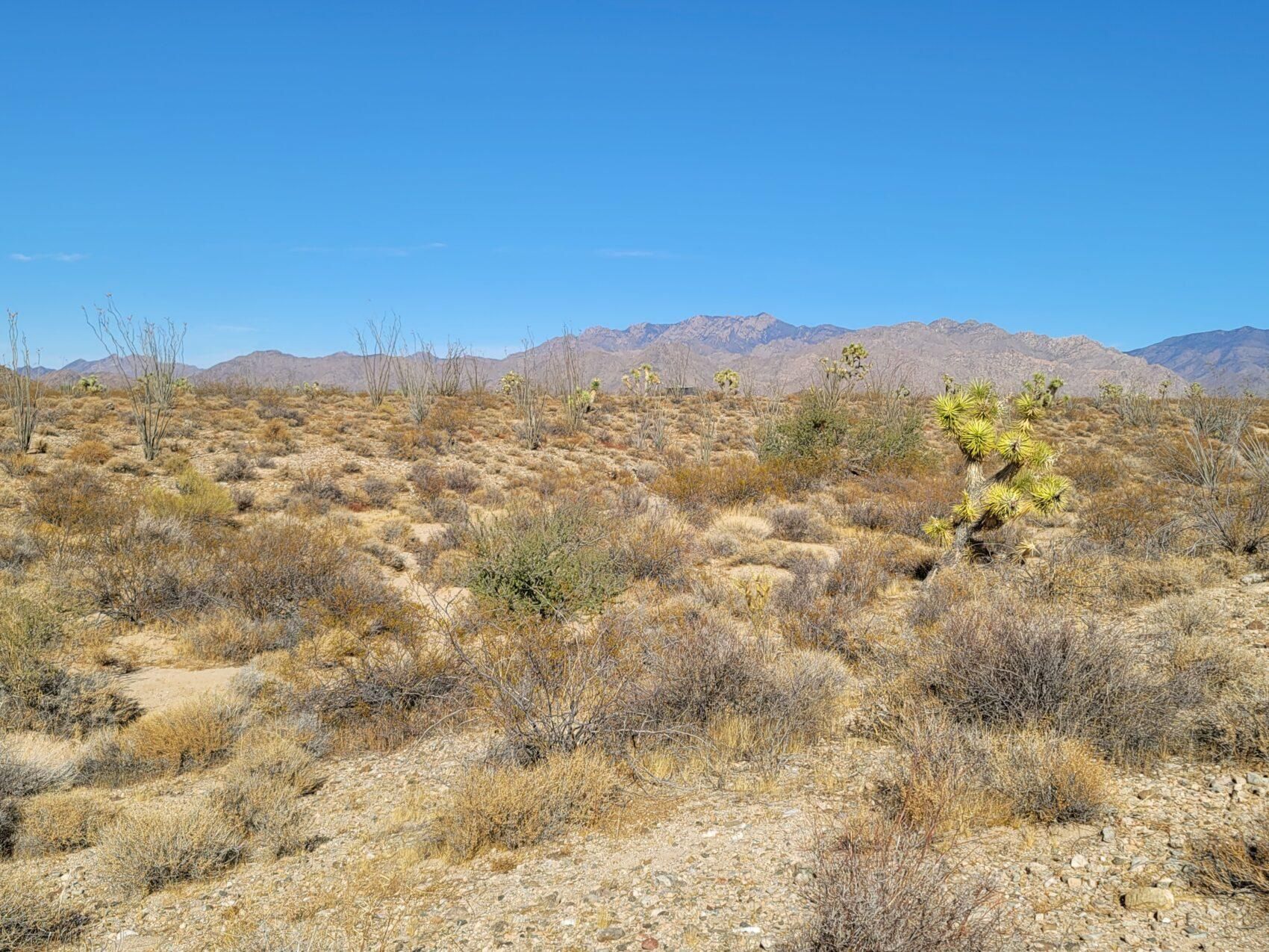 Yucca, Mohave County, AZ Recreational Property, Homesites for sale