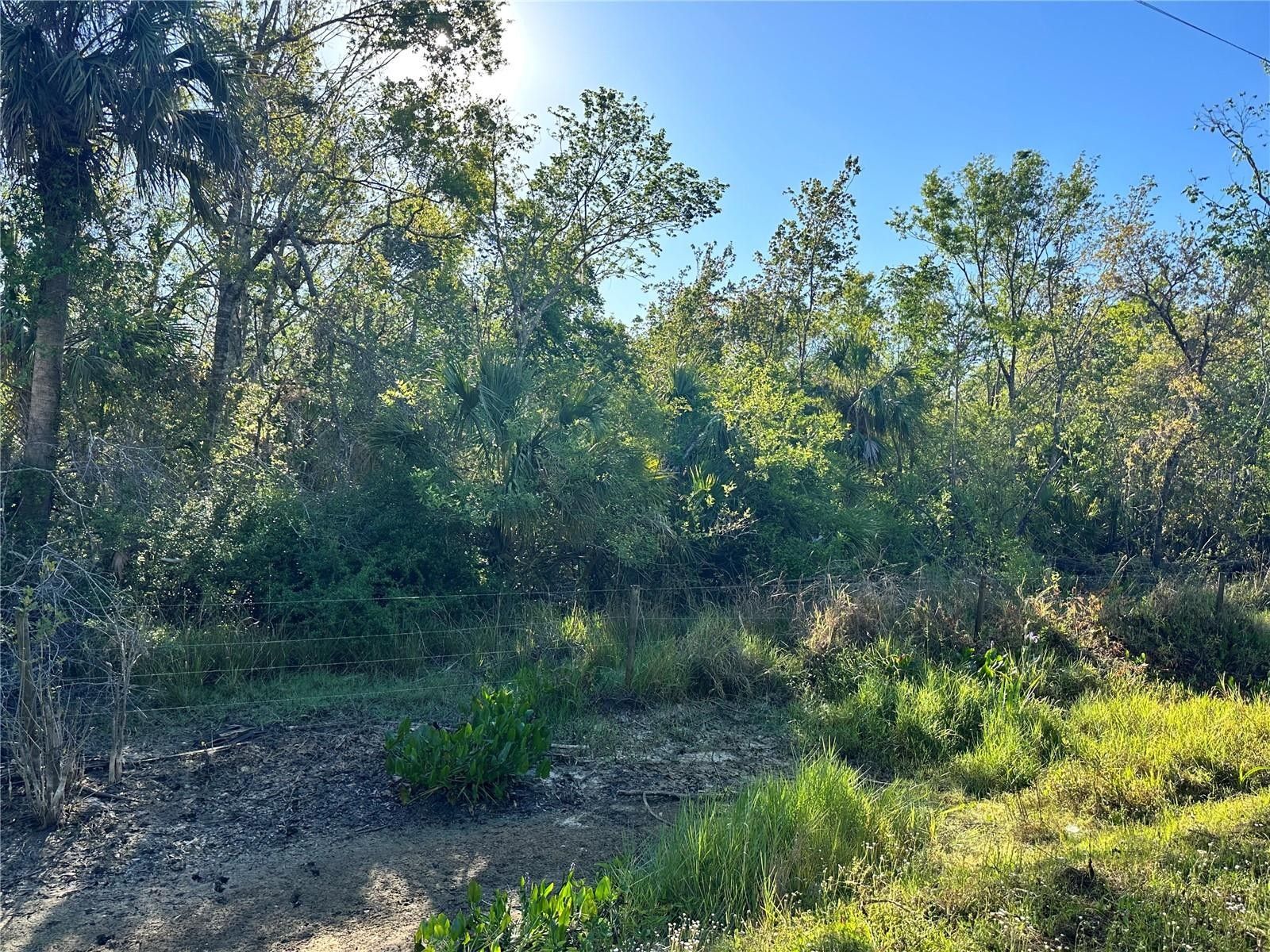 Arcadia, DeSoto County, FL Undeveloped Land, Homesites for sale Property ID 416119605 LandWatch
