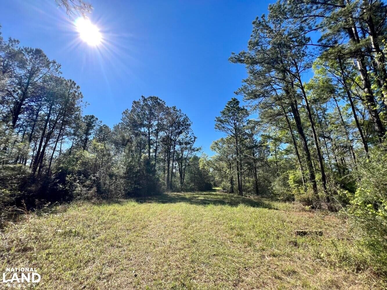 Citronelle, Mobile County, AL Undeveloped Land, Hunting Property for