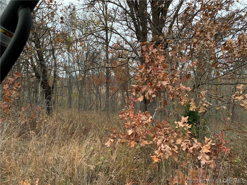 Camdenton, Camden County, MO Undeveloped Land, Homesites for sale