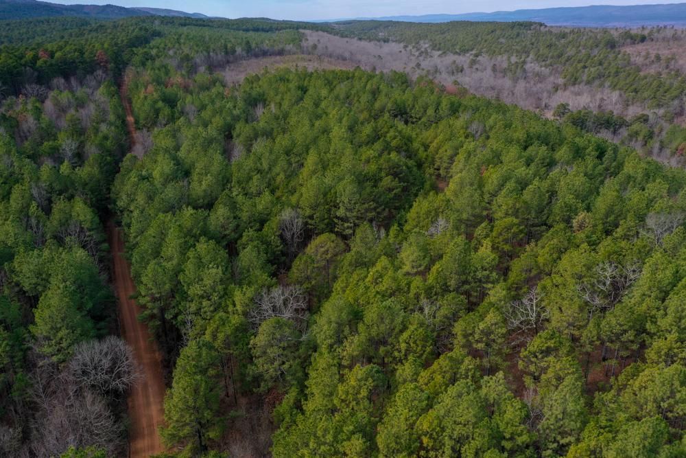 Rover, Yell County, AR Recreational Property, Hunting Property for sale