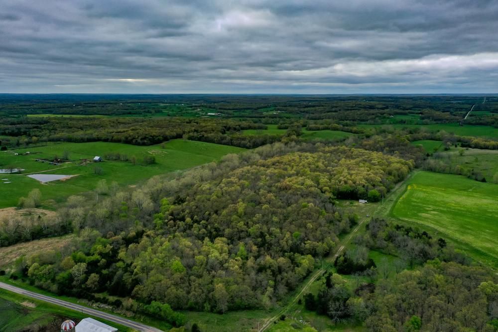 Buffalo, Polk County, MO Recreational Property, Timberland Property