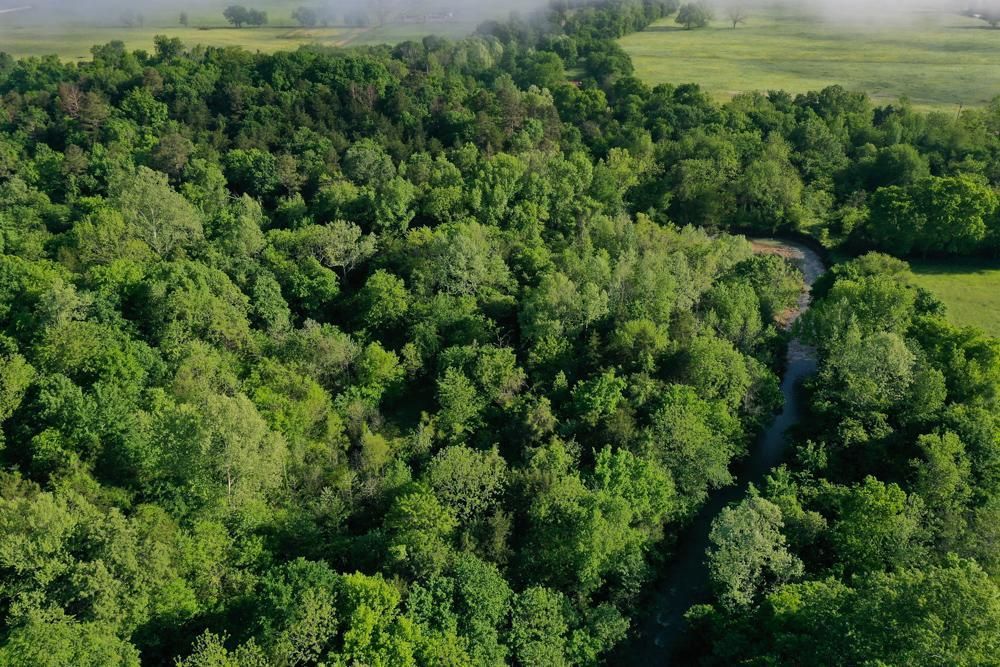 Havana Yell County AR Recreational Property Timberland Property Hunting Property For Sale 