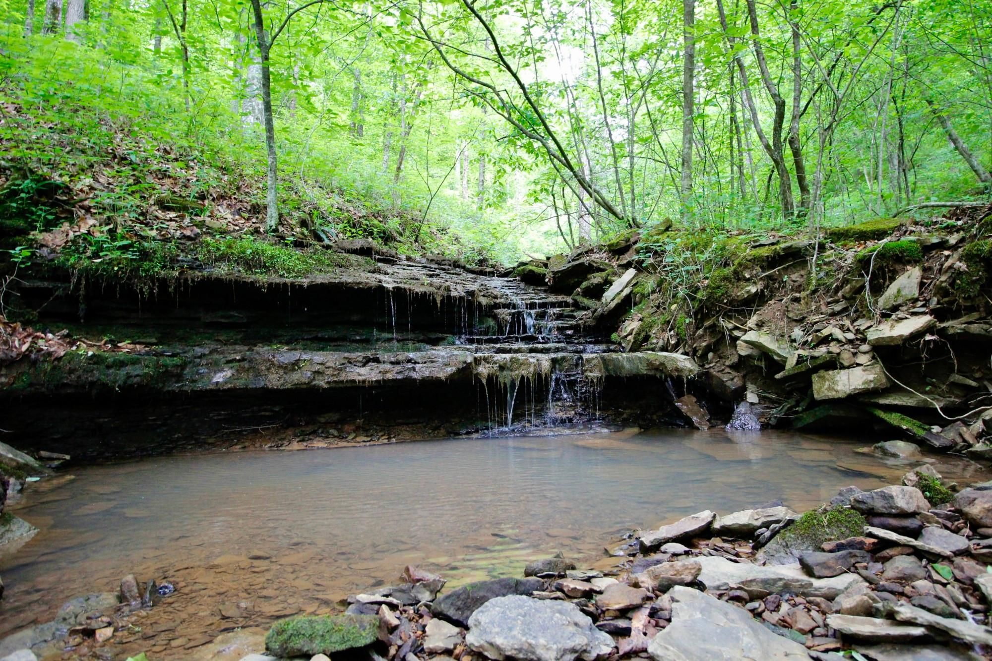 Ozone, Newton County, AR Recreational Property, Undeveloped Land for