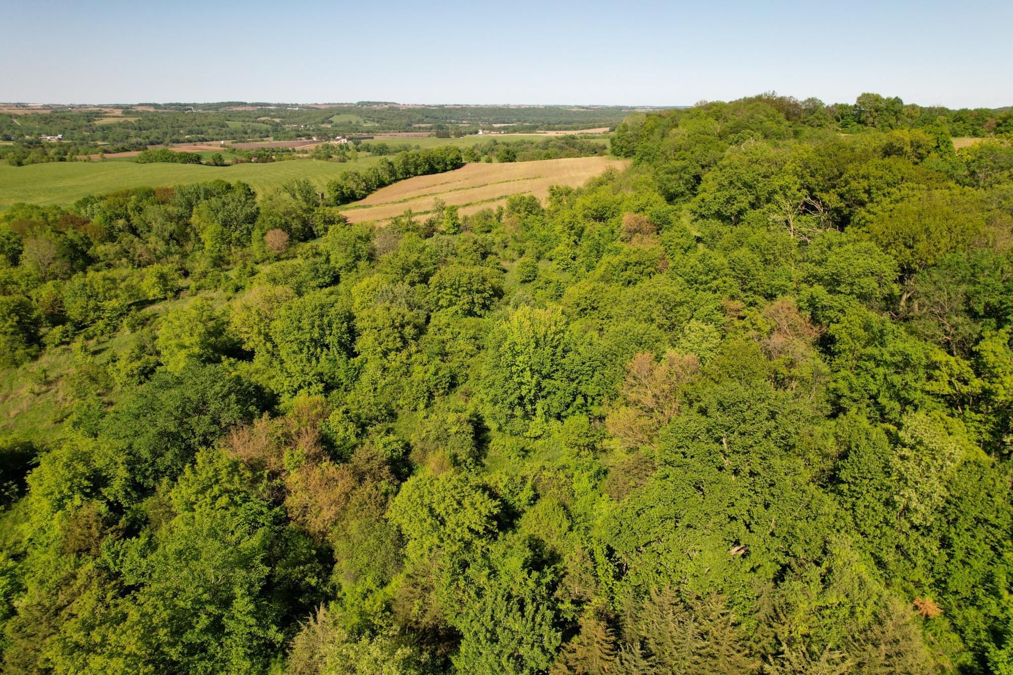 Elgin, Clayton County, IA Recreational Property, Timberland Property, Hunting Property for sale