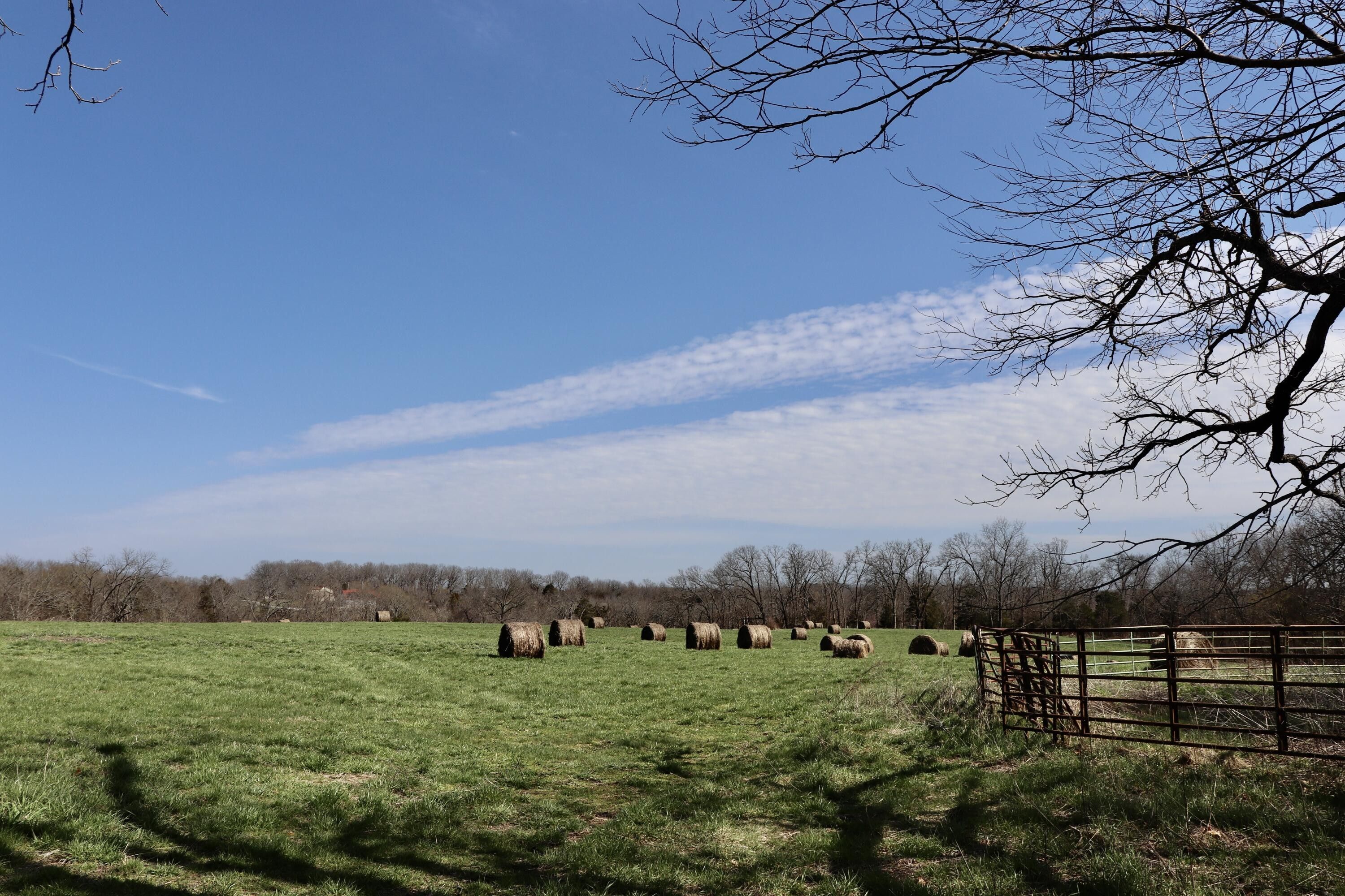 Sparta, Christian County, MO Farms and Ranches for sale Property ID
