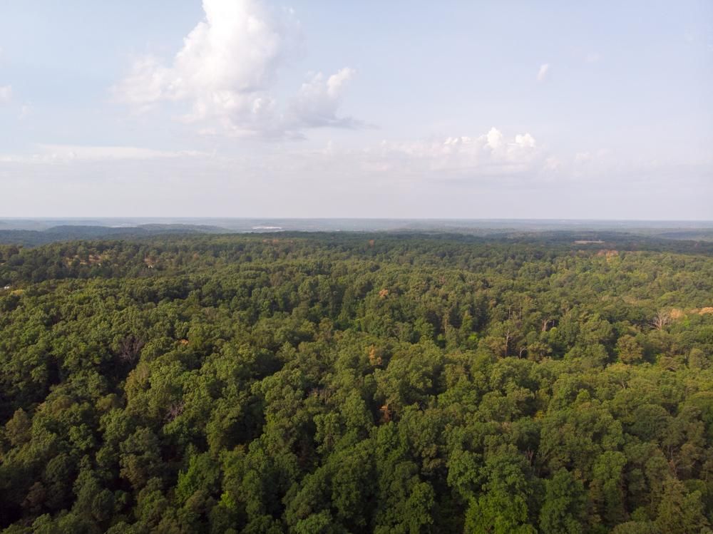 Pineville, McDonald County, MO Recreational Property, Timberland Property, Hunting Property for