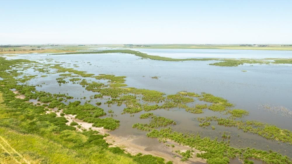 00000 126th St, Selby, SD 57472 MLS Walworth 240 LandWatch