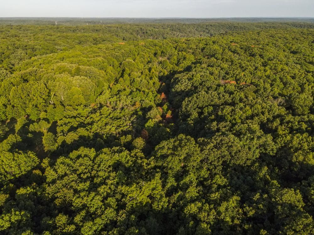 000 Pea Ridge Rd, Ulman, MO 65083 MLS Miller 26 LandWatch