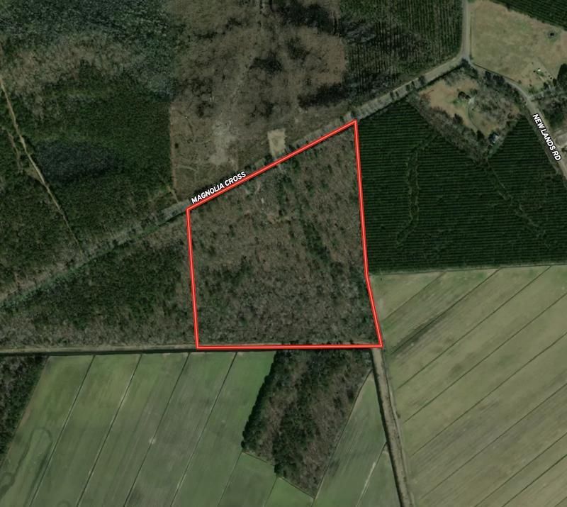 Columbia, Tyrrell County, NC Recreational Property, Timberland Property