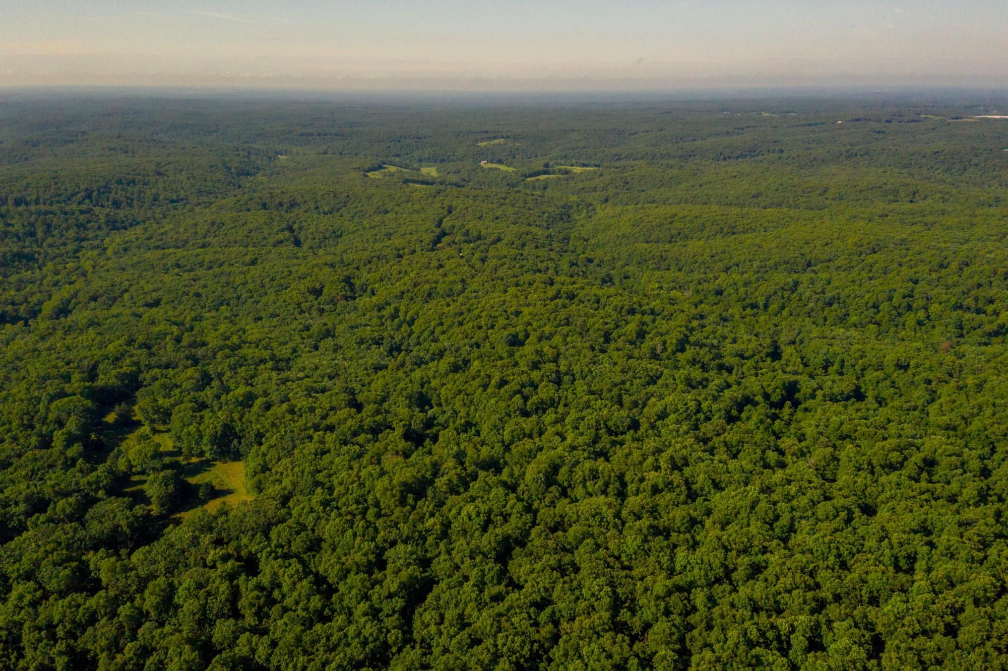 Benton, Benton County, MO Recreational Property, Timberland Property