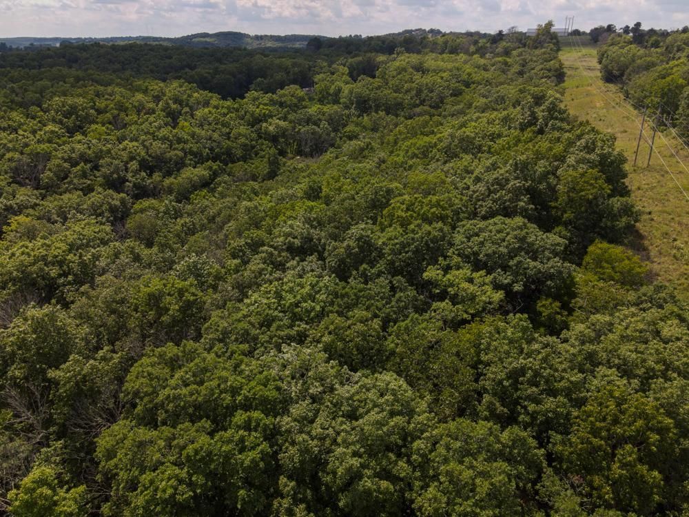 Mountain Grove, Texas County, MO Recreational Property, Timberland Property, Hunting Property