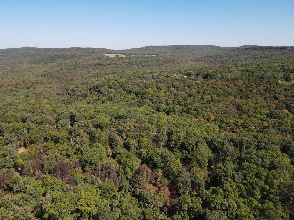 West Fork, Washington County, AR Recreational Property, Timberland