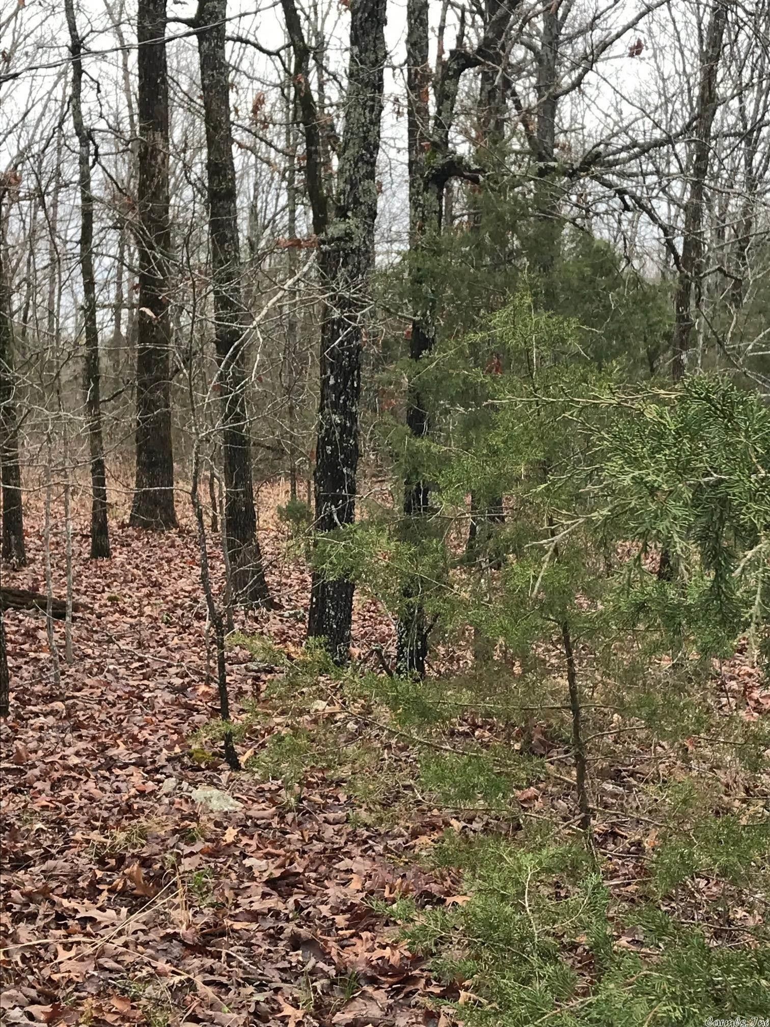 Evening Shade, Sharp County, AR Undeveloped Land for sale Property ID