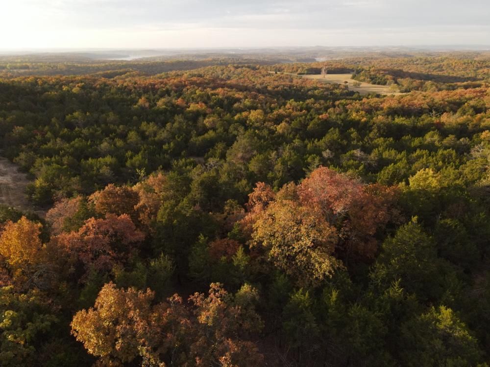 Cedarcreek, Taney County, MO Recreational Property, Hunting Property