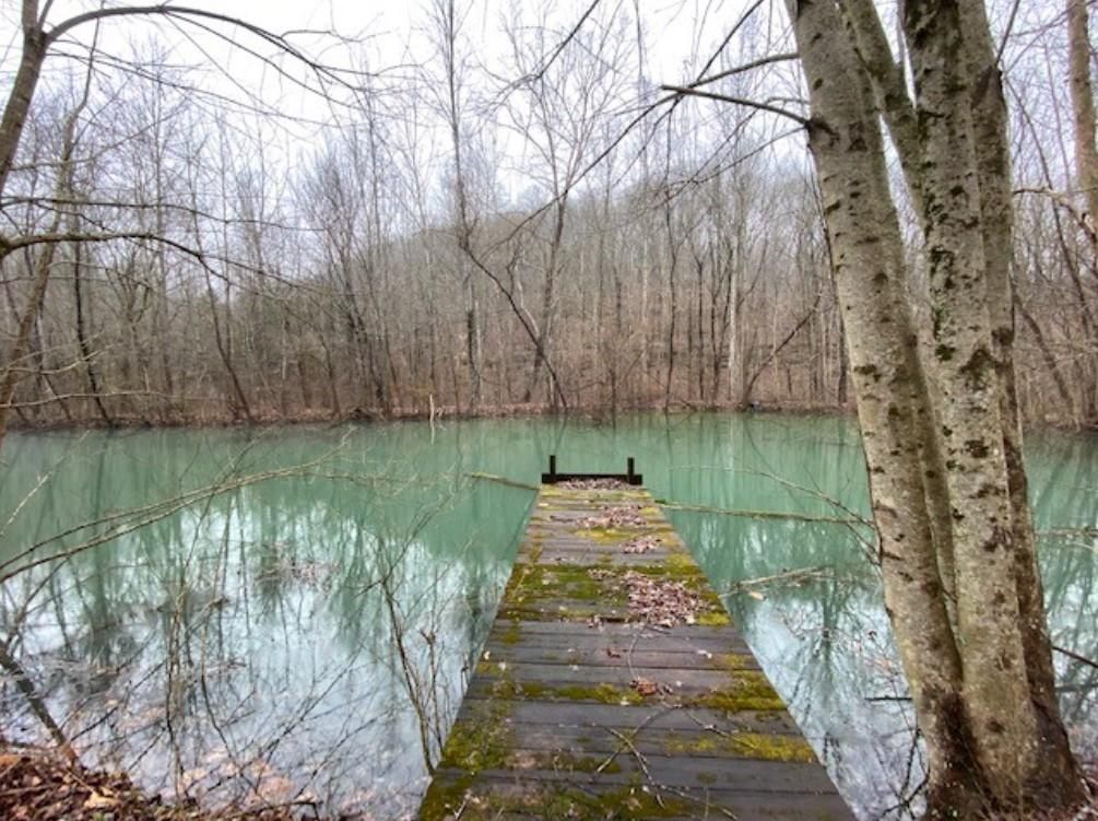 Prospect, Giles County, TN Recreational Property, Undeveloped Land for