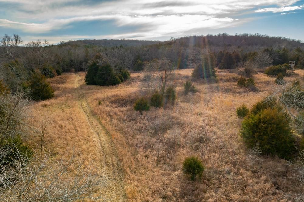 Osceola, Saint Clair County, MO Recreational Property, Timberland