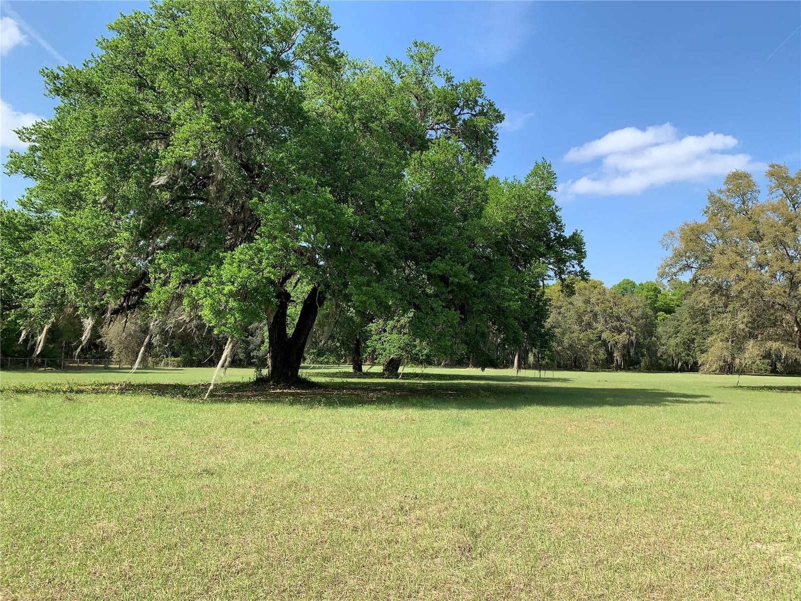 Anthony, Marion County, FL Farms and Ranches for sale Property ID