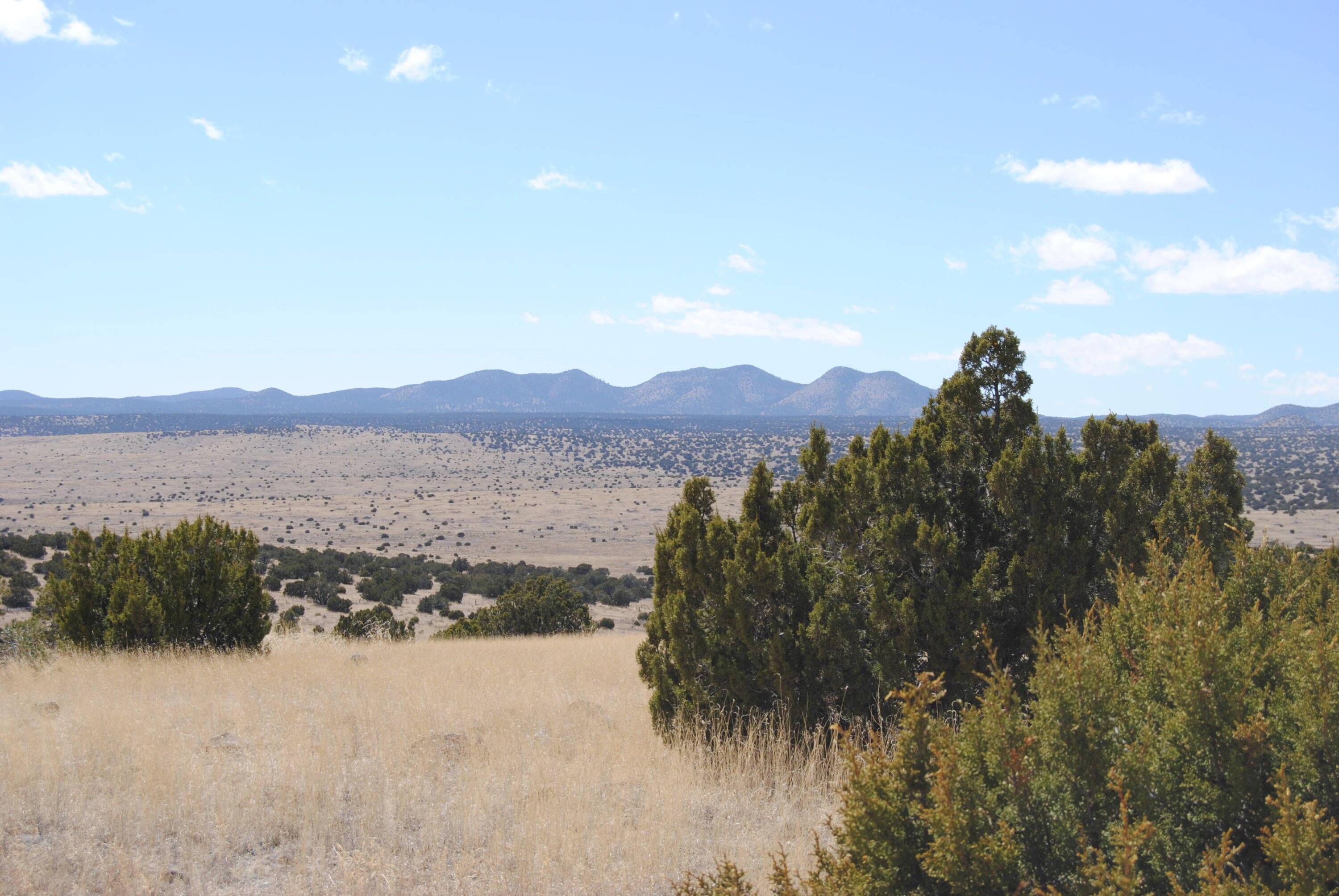 Magdalena, Socorro County, NM Undeveloped Land for sale Property ID