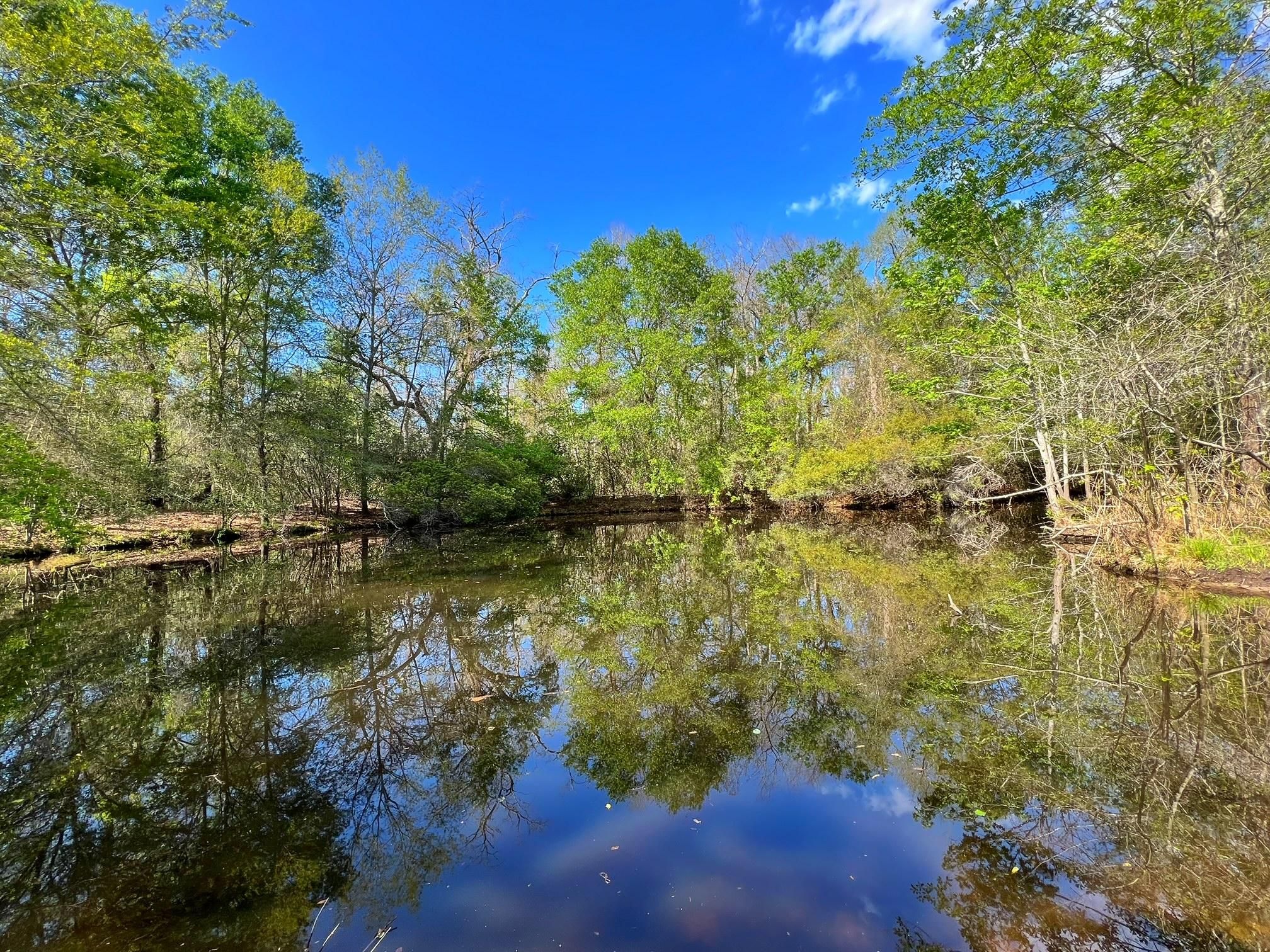 Marquez, Leon County, TX Recreational Property, Hunting Property for