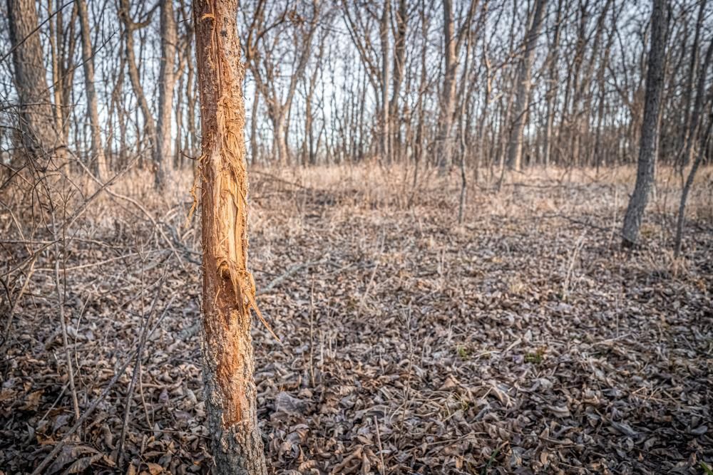 Copan, Washington County, OK Recreational Property, Hunting Property