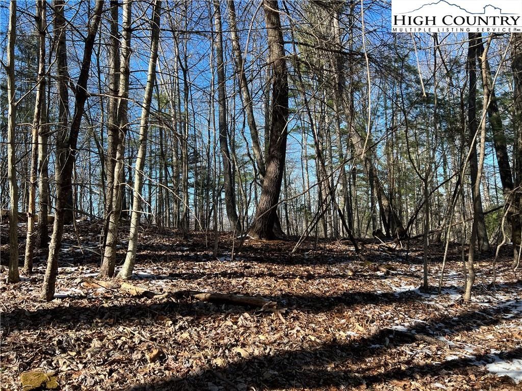 Crumpler, Ashe County, NC Farms and Ranches, Homesites for sale
